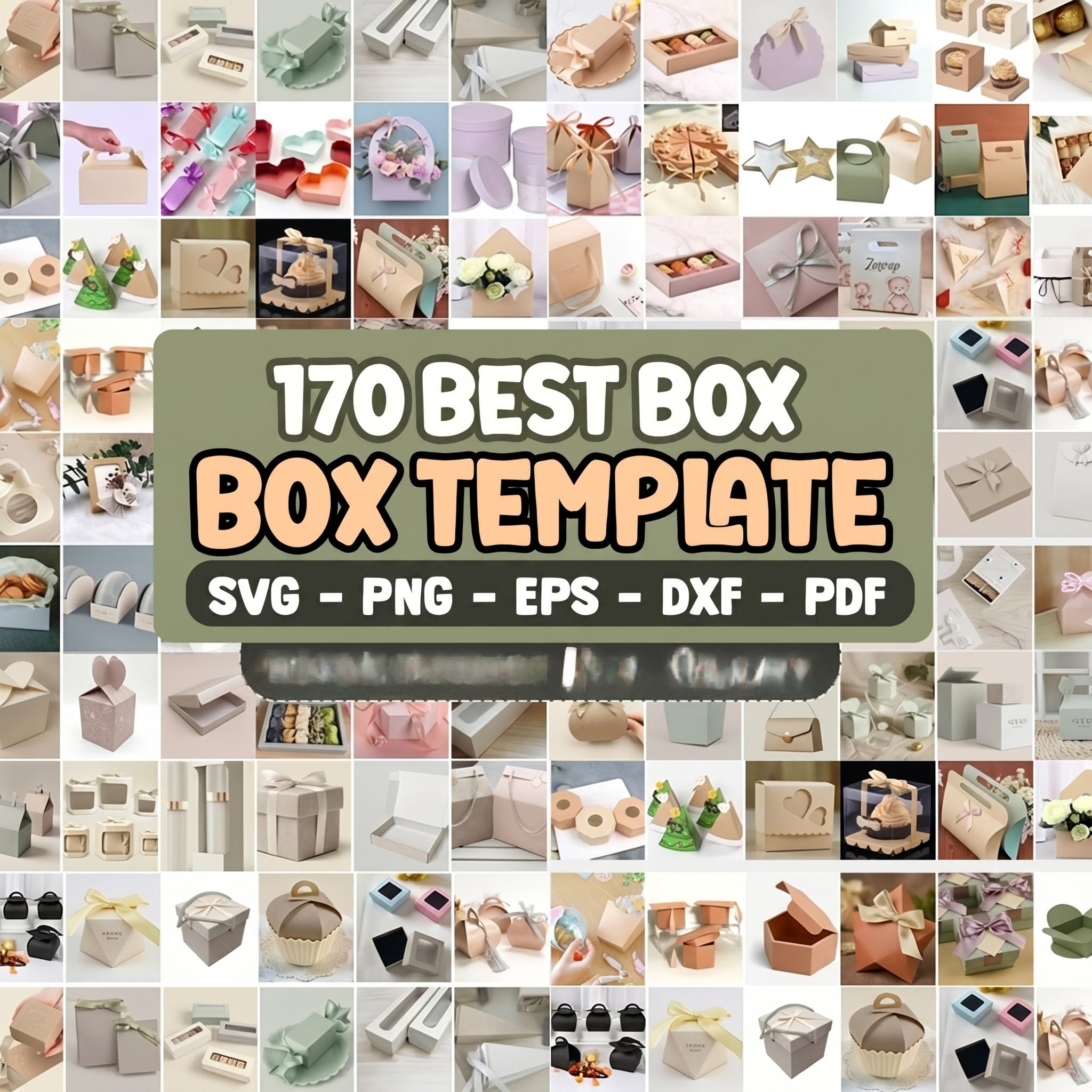 170 Box Template Bundle